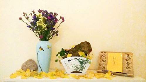 漢上采風記 初冬漢中的溫馨與樹木經營